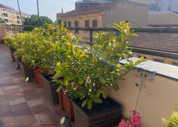 Apartament Atico Pta Zamora *